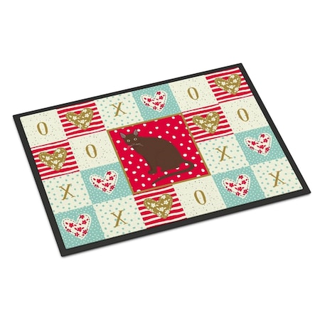 Carolines Treasures 24 x 36 in. Raas Cat Love Indoor or Outdoor Mat CK5780JMAT